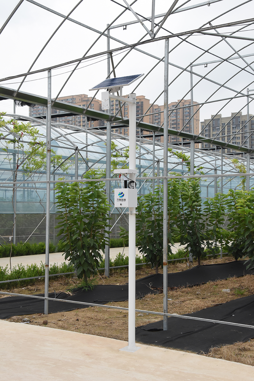 太陽(yáng)能自動(dòng)蟲(chóng)情測(cè)報(bào)燈alt=太陽(yáng)能自動(dòng)蟲(chóng)情測(cè)報(bào)燈